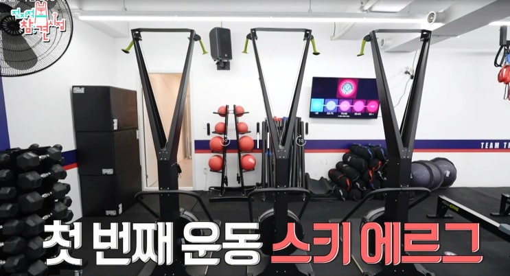 고촌PT 스키에르그 skierg 엄정화도 하는 다이어트 운동