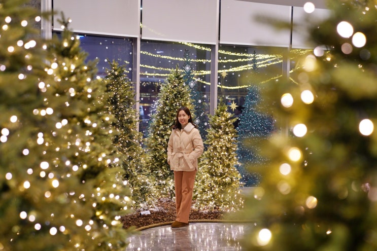 판교현대백화점 크리스마스 트리 해리의 꿈의 상점 회전목마 위치 시간 판교놀거리