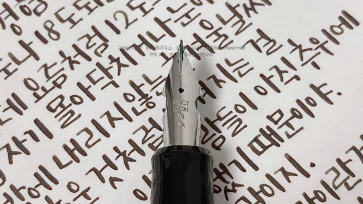  인간 만사는 습관이지 (파이롯트 912 FA닙 만년필로 필사하기)
