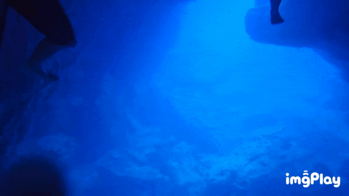 사이판 그루토 신비로운 바닷속 파란 동굴 투어