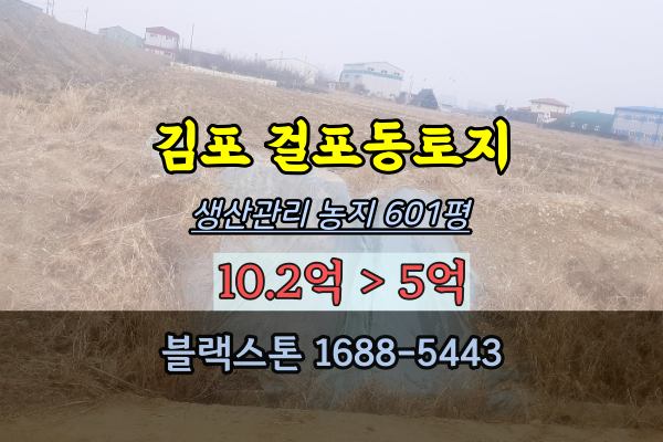 김포시토지 경매 걸포동 농지 600평 생산관리 5억