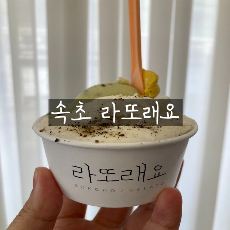  나의 또간집 속초 라또래요 감자 젤라또 맛집
