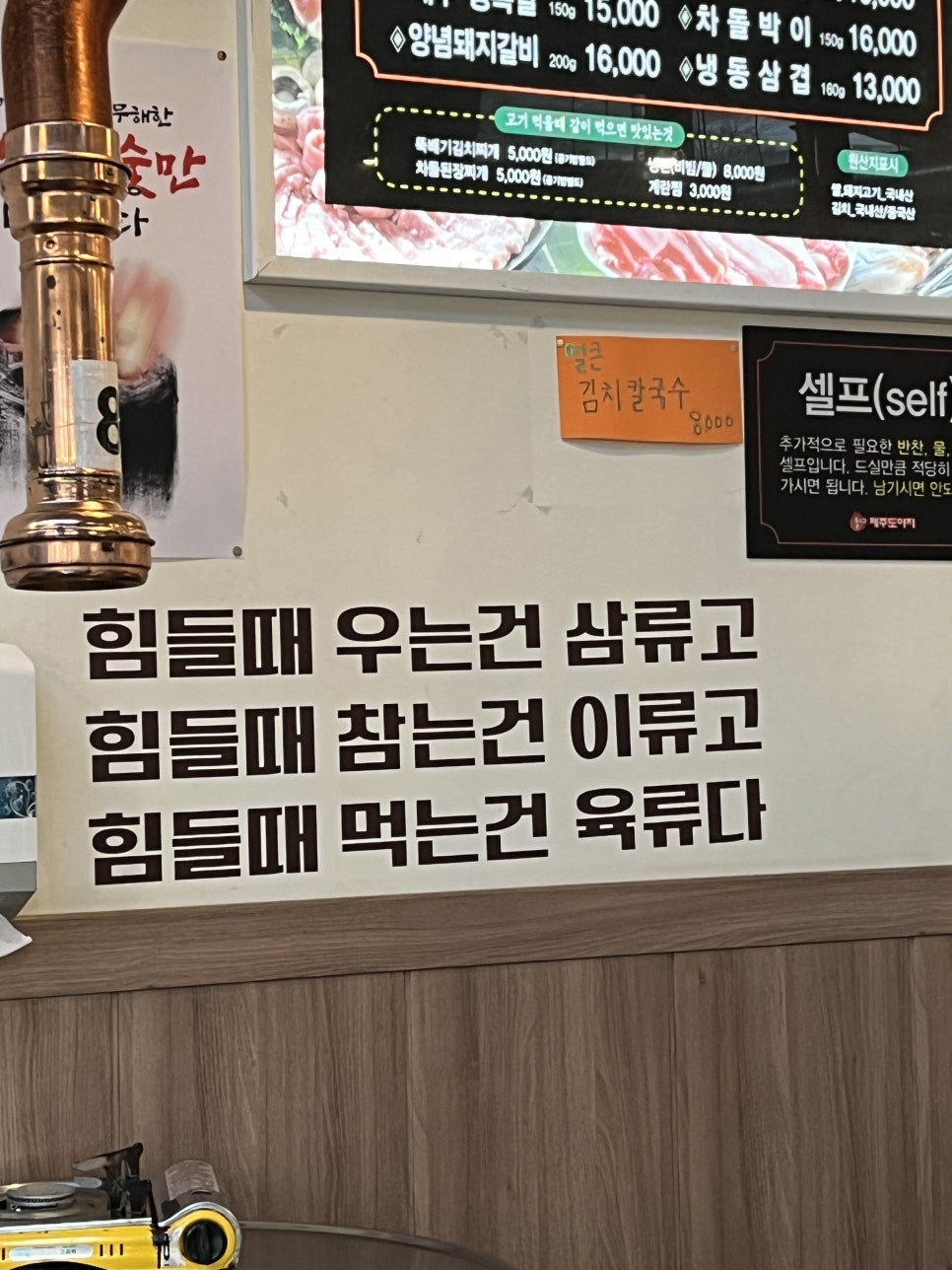 돌리고도야지 사진 4