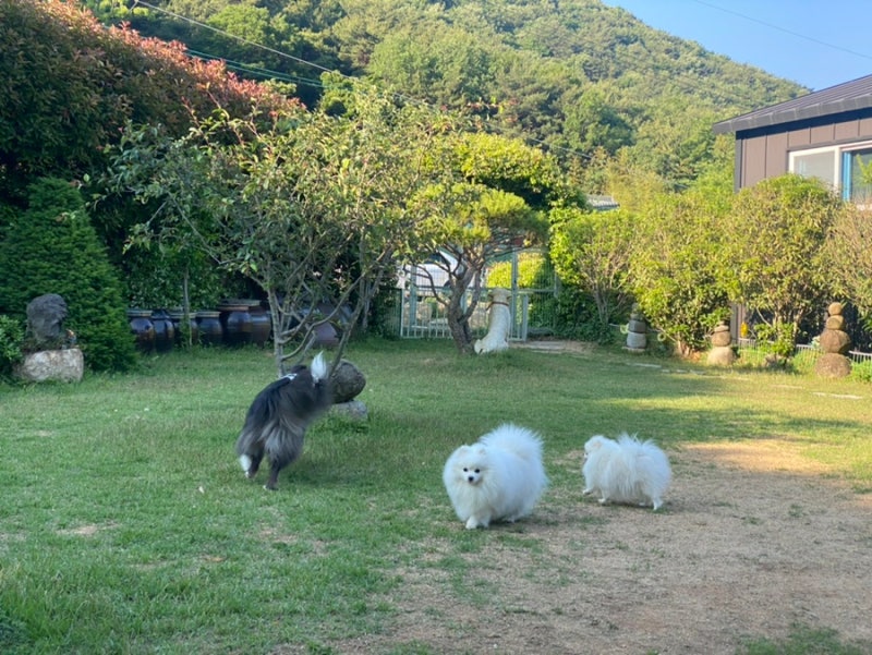 사진 2