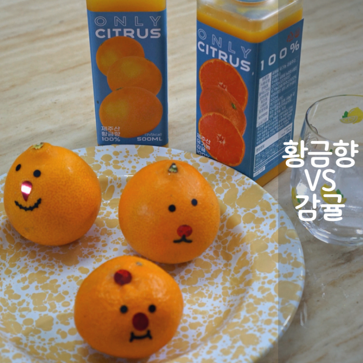  황금향 제철 감귤 주스 귤 보관법