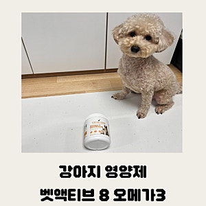 강아지 필수 영양제 벳액티브8 오메가3 ++내돈내산