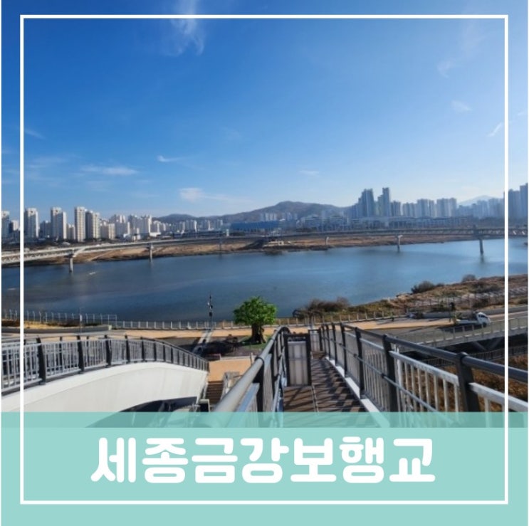 금강보행교 이응다리 세종 빛축제 프로그램 일정 버스운행시간표 세종자전거 어울링 금강보행교 이응다리 세종 빛축제 프로그램 일정 버스운행시간표 세종자전거 어울링