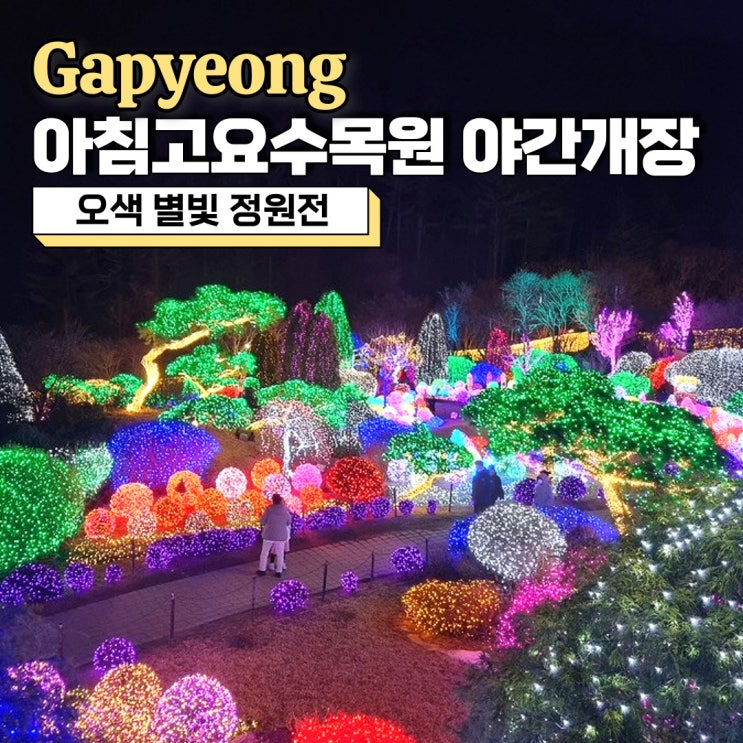  아침고요수목원 야간개장, 오색별빛정원전 아름다운 겨울 데이트 코스 추천(ft. 시간, 입장권 가격)