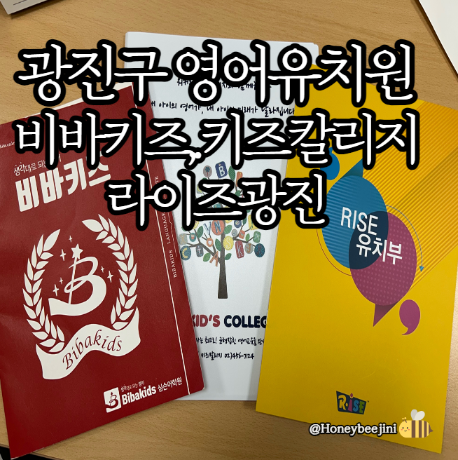 Gwangjin-gu English Kindergartens: Viva Kids, Kids College, Rise Gwangjin Campus Consultation Reviews