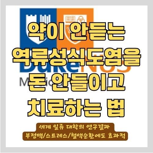  약으로 치료 못한 역류성식도염 환자를 치료한 세계일류 의료진의 호흡법 - 증상/부정맥/스트레스/혈액순환에 모두 좋은 방법