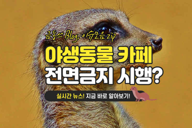  반려동물 이색카페 야생동물 카페 금지? 이게 무슨 뜻일까?