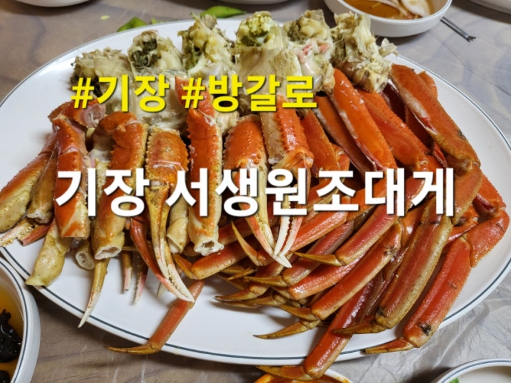  기장 대게집 추천 서생원조대게 가족저녁식사 후기  