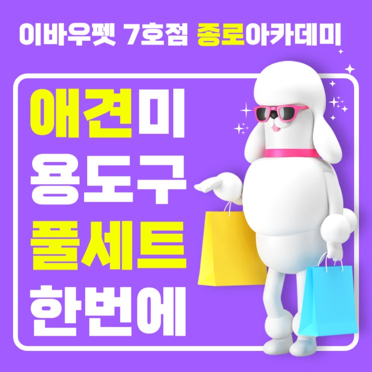  종로애견미용학원 오픈 이벤트 선물 받으세요!(수강 비용, 자격증, 커리큘럼, 특징)