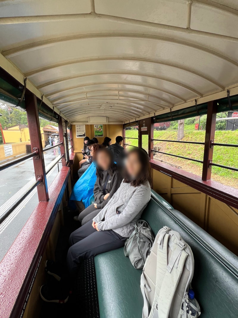 17년만에 다시 찾은 호주(8) - 비오는 날의 멜버른, 빅토리아 국립미술관과 퍼핑 빌리 증기기관차 여행 : 네이버 블로그, image size:800x1067