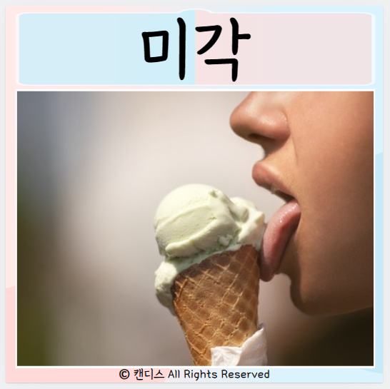  미각상실 했을때 음식맛 안느껴질때 원인 치료