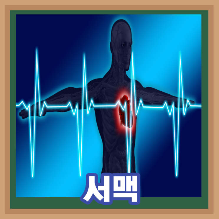  서맥 원인 증상 : 정상 심장 박동수 ( 안정박동수 평균 심박수 최대 정상수치)