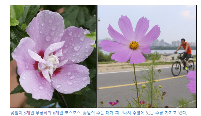  동적 계획법(DP)이란?