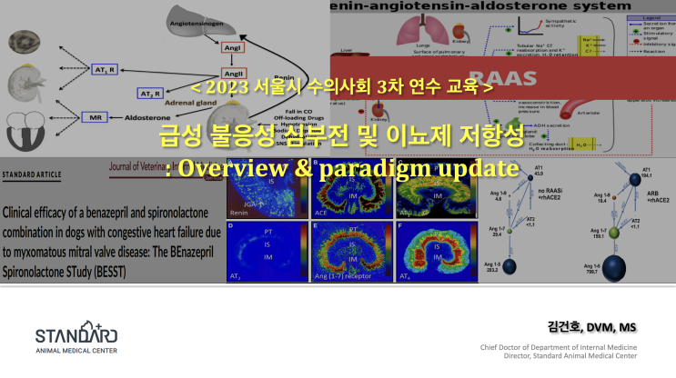  [학술/대외활동] 김건호 내과 원장, 2023년 서울시 수의사회 수의사 연수교육, 급성 불응성 심부전 및 이뇨제 저항성 강의 - 24시 스탠다드동물의료센터