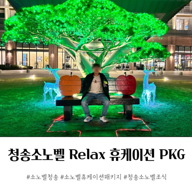  청송 소노벨 릴렉스 휴케이션 패키지 조식 포함 이용후기