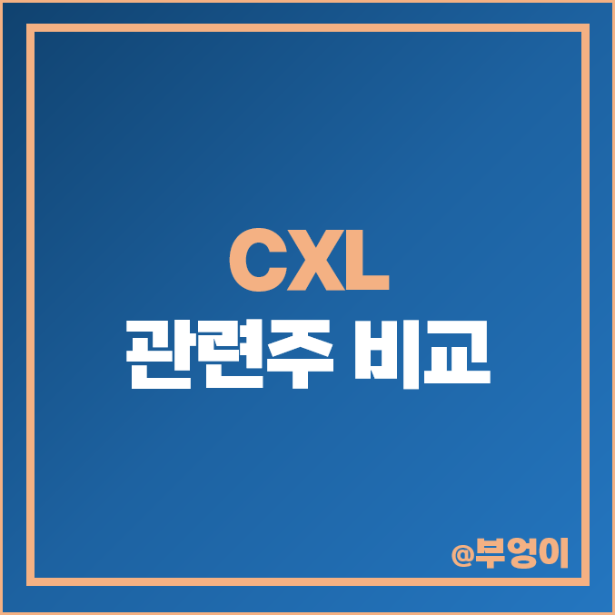 컴퓨트 익스프레스 링크 CXL 관련주 테마주 삼성전자 주가