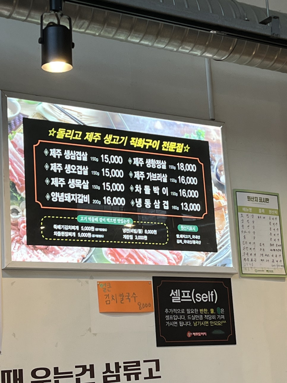 돌리고도야지 사진 2