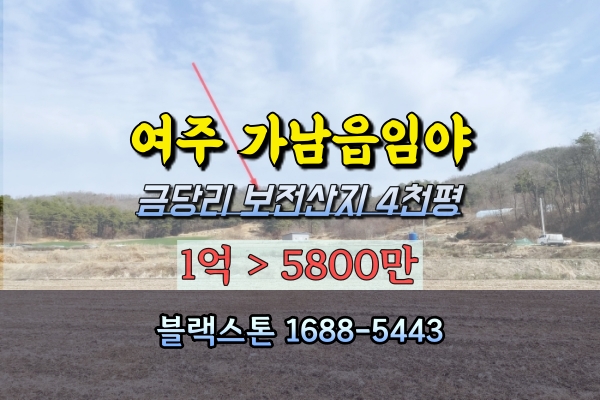  여주시임야 4천평 경매 5천만원 가남읍
