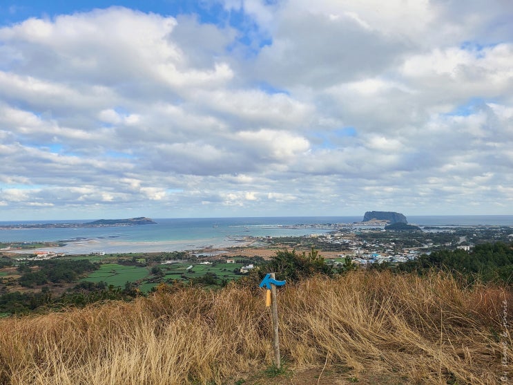  12월 제주 올레길 1코스 : 우도와 성산일출봉을 걷는 내내 실컷 볼 수 있는 코스 (전망 게스트하우스, 통발 이자카야)