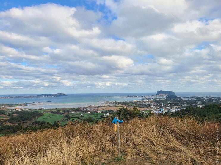 12월 제주 올레길 1코스 : 우도와 성산일출봉을 걷는 내내 실컷 볼 수 있는 코스 (전망 게스트하우스, 통발 이자카야)