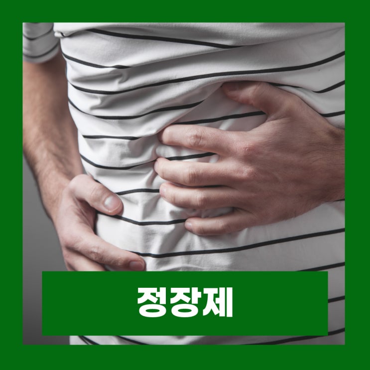  정장제 뜻 지사제 차이 장염 효과