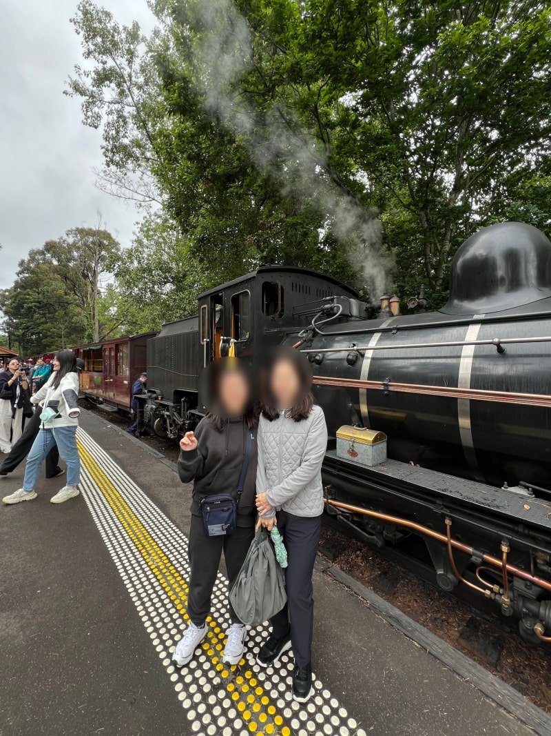 17년만에 다시 찾은 호주(8) - 비오는 날의 멜버른, 빅토리아 국립미술관과 퍼핑 빌리 증기기관차 여행 : 네이버 블로그, image size:800x1067