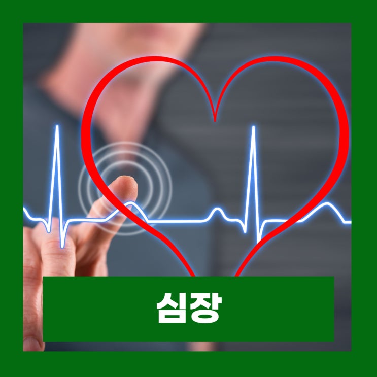  심장이 빨리뛸때 증상 심장이 안좋으면 갑자기 두근거림