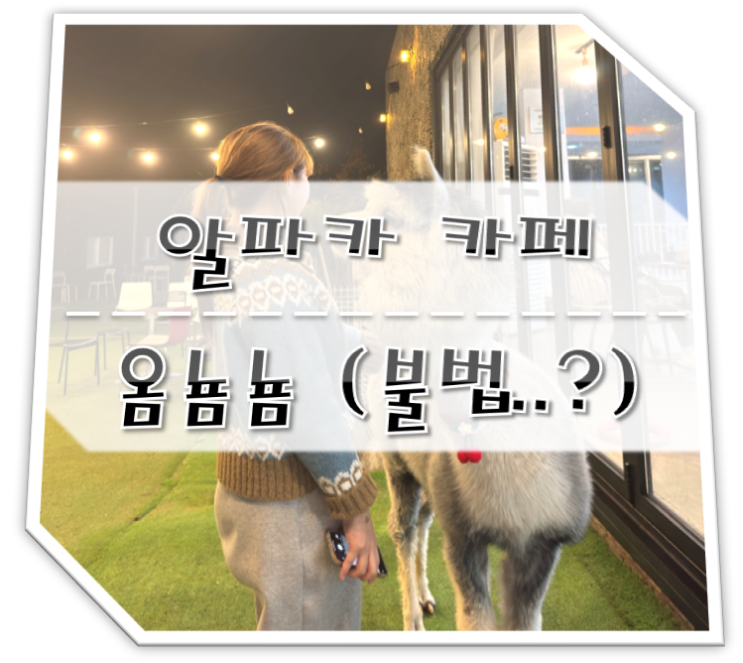  알파카 카페 옴뇸뇸 (4년후엔 전시금지..불법)