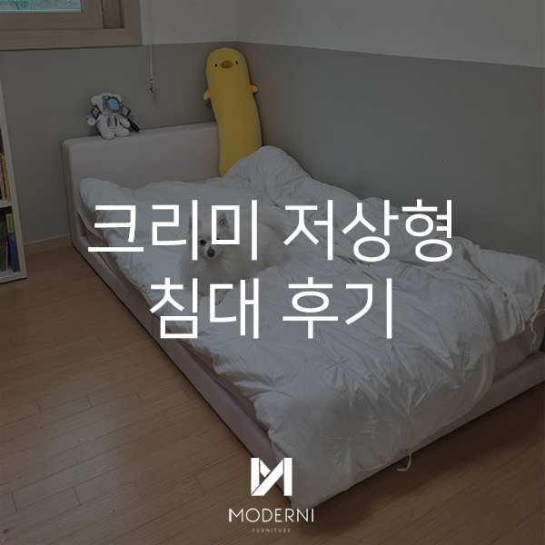 모더니가구 크리미 저상형 침대