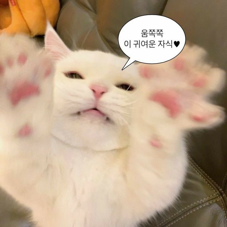  난 널 행복하게 할거야