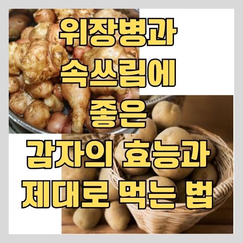  위염과 위궤양등 속쓰림에 좋은 감자의 효능과 먹는 법, 간단 레시피
