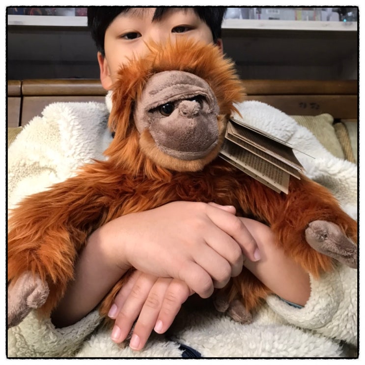 애너미고스 월드오브네이처 오랑우탄인형 막둥이 크리스마스선물 리뷰 애너미고스 월드오브네이처 오랑우탄인형 막둥이 크리스마스선물 리뷰