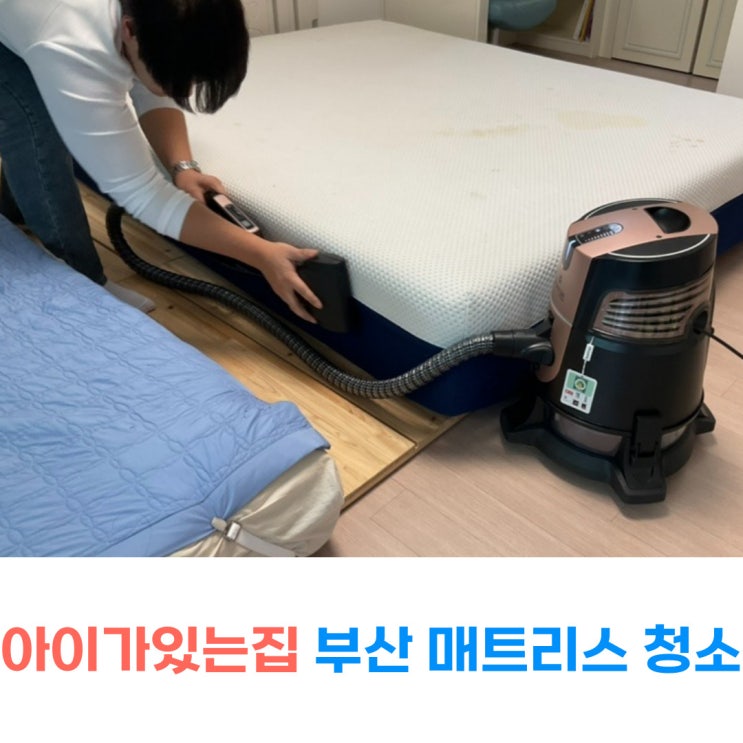  부산 매트리스 청소 아이와 고양이가 사는 집 침대 진드기 제거