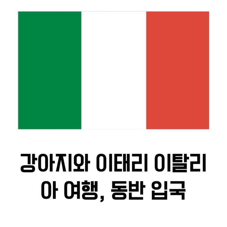  강아지와 이태리 이탈리아 로마 밀라노 피렌체 나폴리 여행 동반 입국