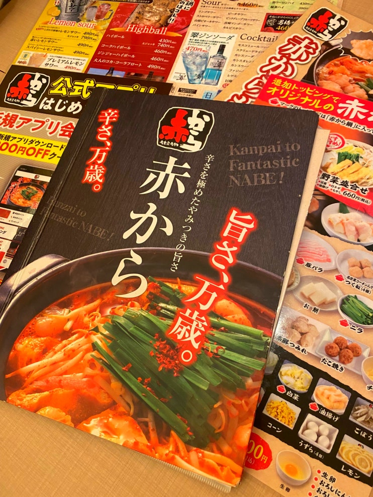일본 나베 맛집 '아카카라'(모츠나베, 얼큰나베)