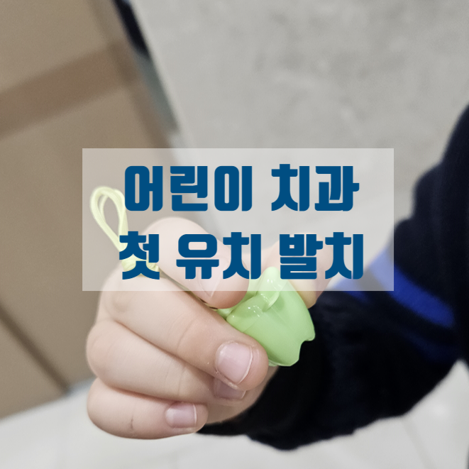  만 4세 첫니 발치하기 나주라스어린이치과 예약 없이 진료받았어요 +질문폭탄