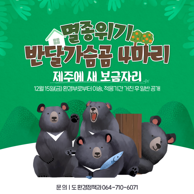 멸종위기 <b>반달가슴곰</b> 4마리, <b>제주</b>에 새 보금자리
