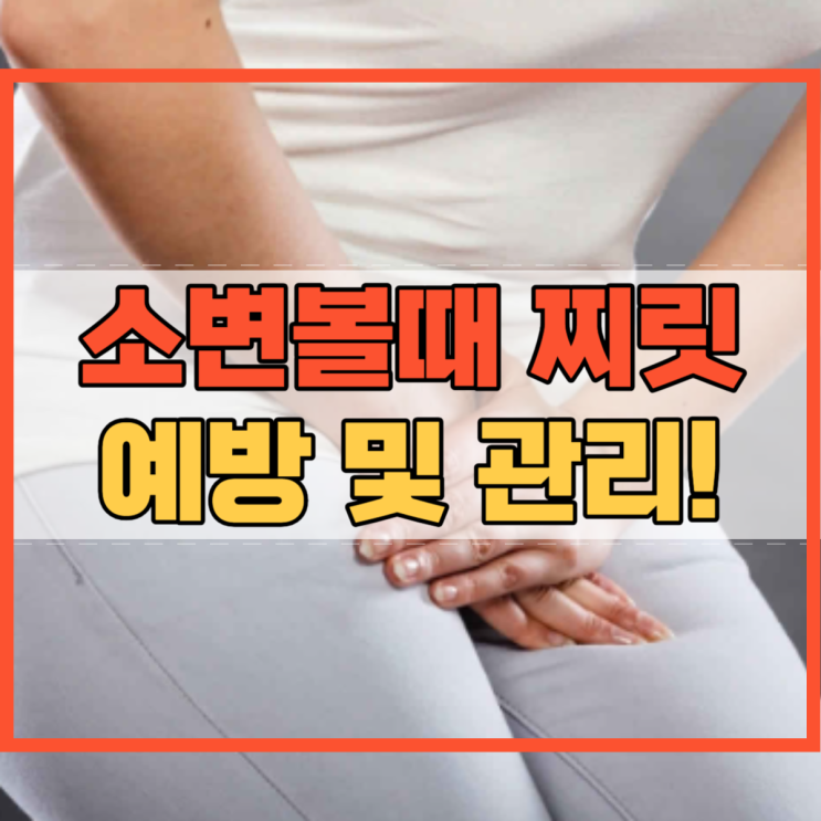  소변볼때 찌릿 요도 질환 예방 및 관리 방법!