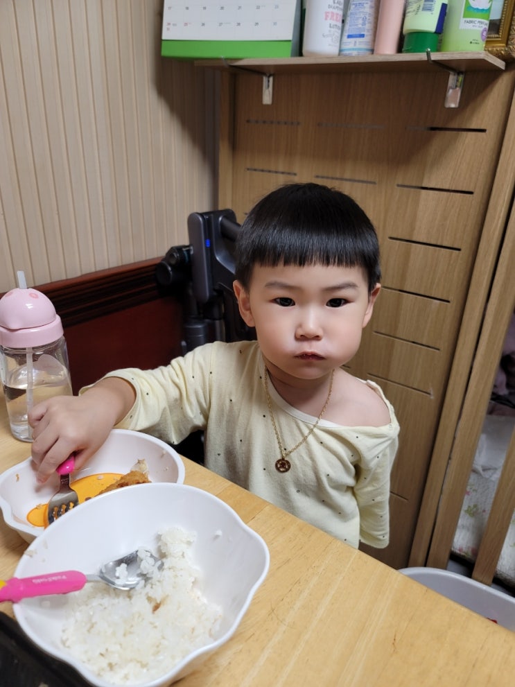  아빠의 육아블로그) 아빠육아일기 <돈까스사냥꾼>