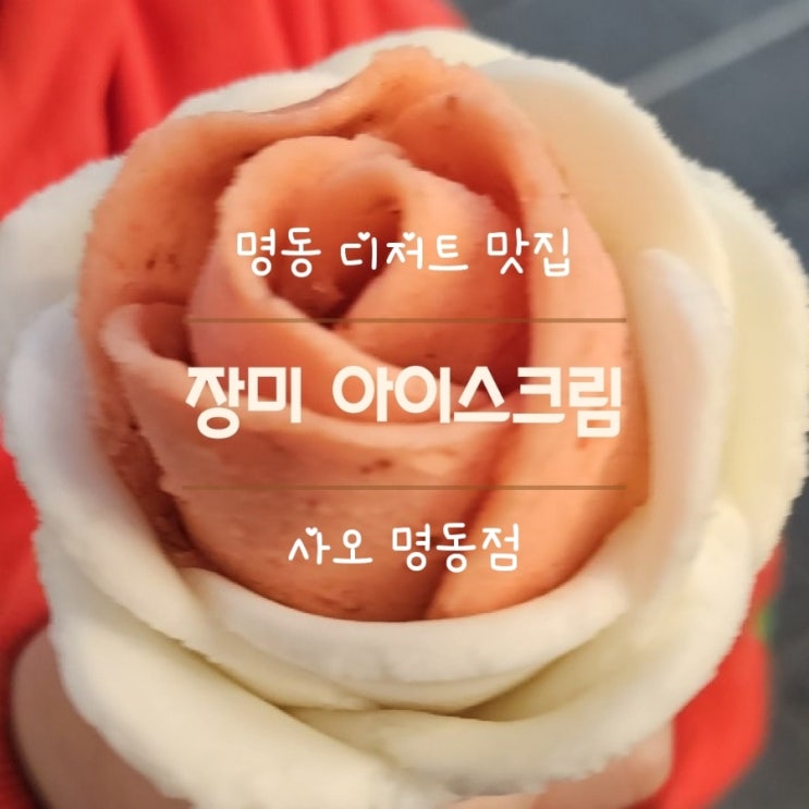  명동 디저트 맛집 딸기 요거트 젤라또 장미 아이스크림 (사오 명동점 방문 후기)