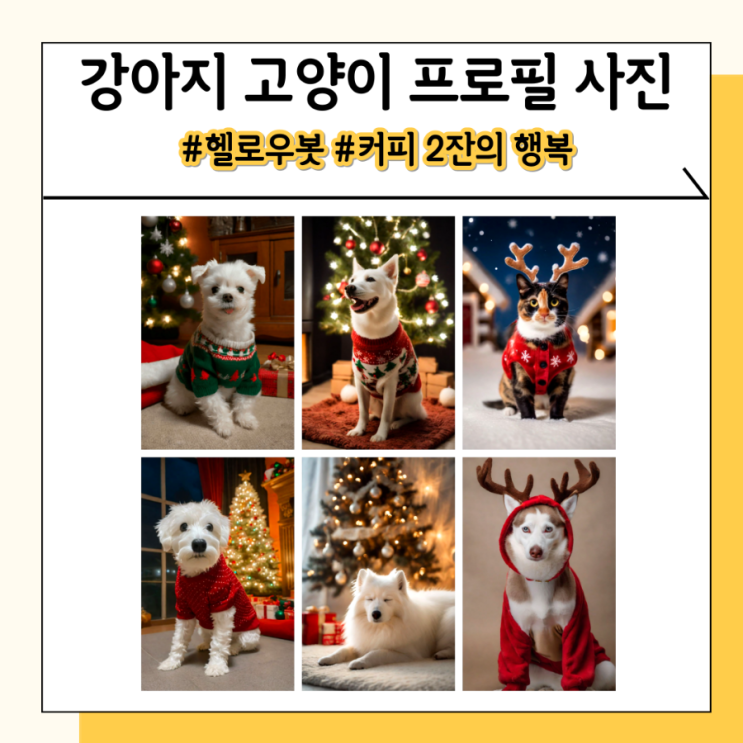 실사같은 헬로우봇 강아지 고양이 ai 프로필 후기 실사같은 헬로우봇 강아지 고양이 ai 프로필 후기