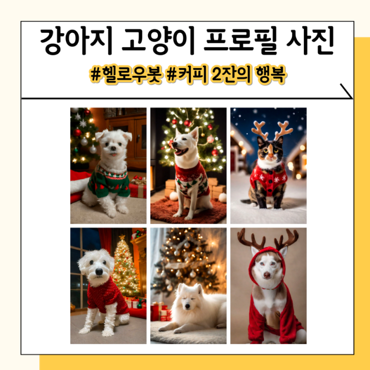 실사같은 헬로우봇 강아지 고양이 ai 프로필 후기