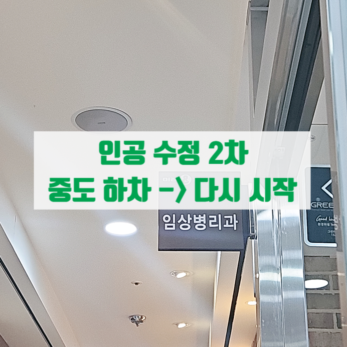  드디어 인공수정 2차 시작 인공수정 실패 부작용으로 생리 지연 2달 / 광주 난임 담당자 직통번호 공유