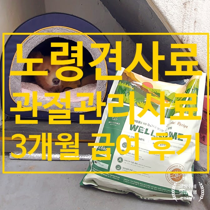  강아지 사료 기호성 좋은 노령견 사료 3개월 급여 후기.