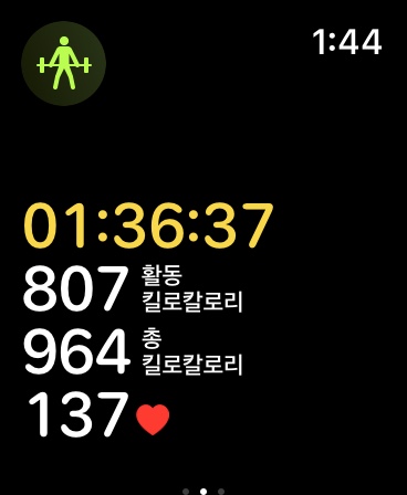 가슴+팔운동 가슴+팔운동