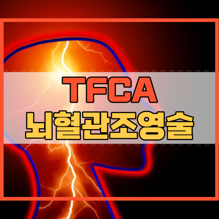 TFCA 뇌혈관조영술 검사 및 시행 방법 부작용!